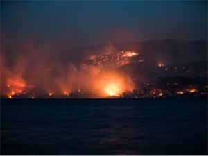 Multiple Wildfires Ruined Nearly 1000 Homes, Evacuation Needed!!